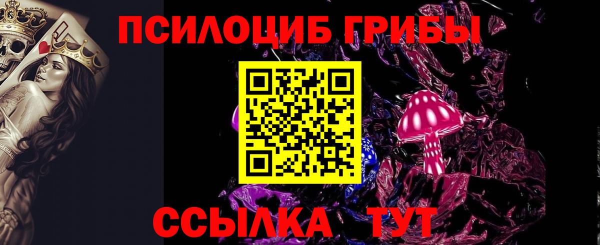 Псилоцибиновые грибы мицелий Феодосия