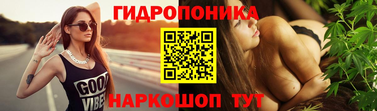 Бошки Шишки план Феодосия
